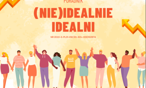 Poradnik Nie(idealnie) idealni