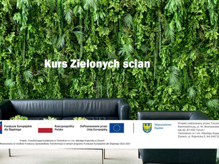 Aranżacja i wykonanie ścian pionowych