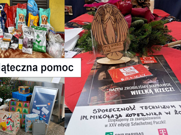 Świąteczna pomoc